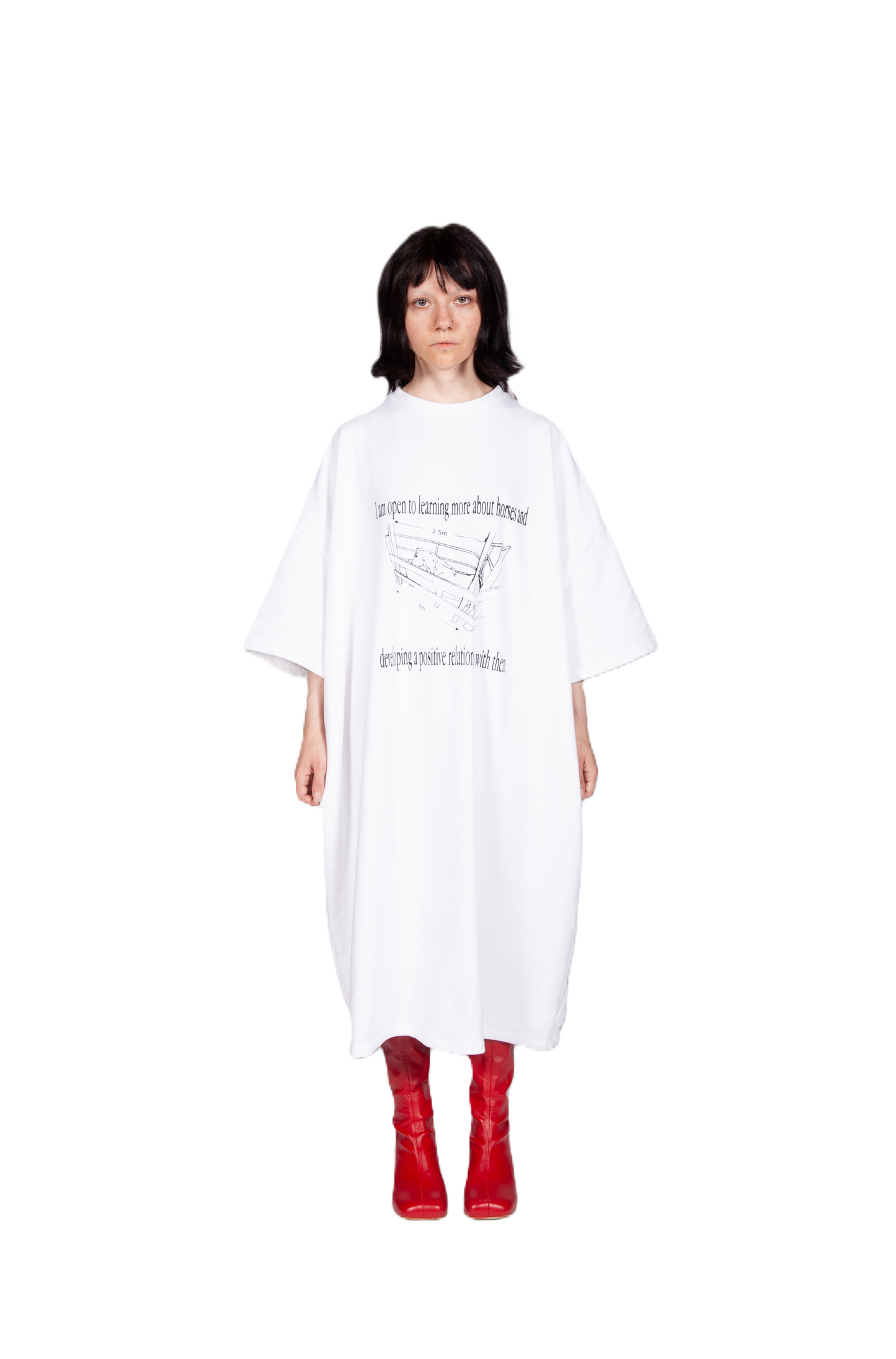 Horse Affirmations T-shirt Dress