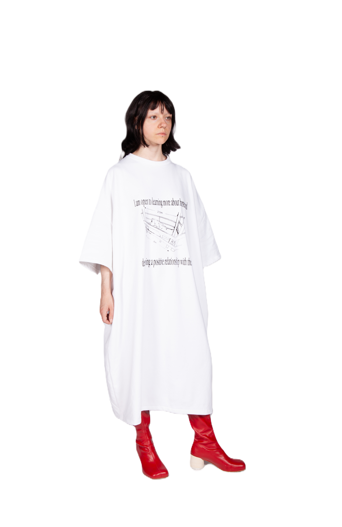 Horse Affirmations T-shirt Dress